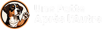 Une patte apres l'autre