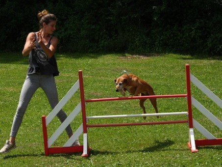 Agility