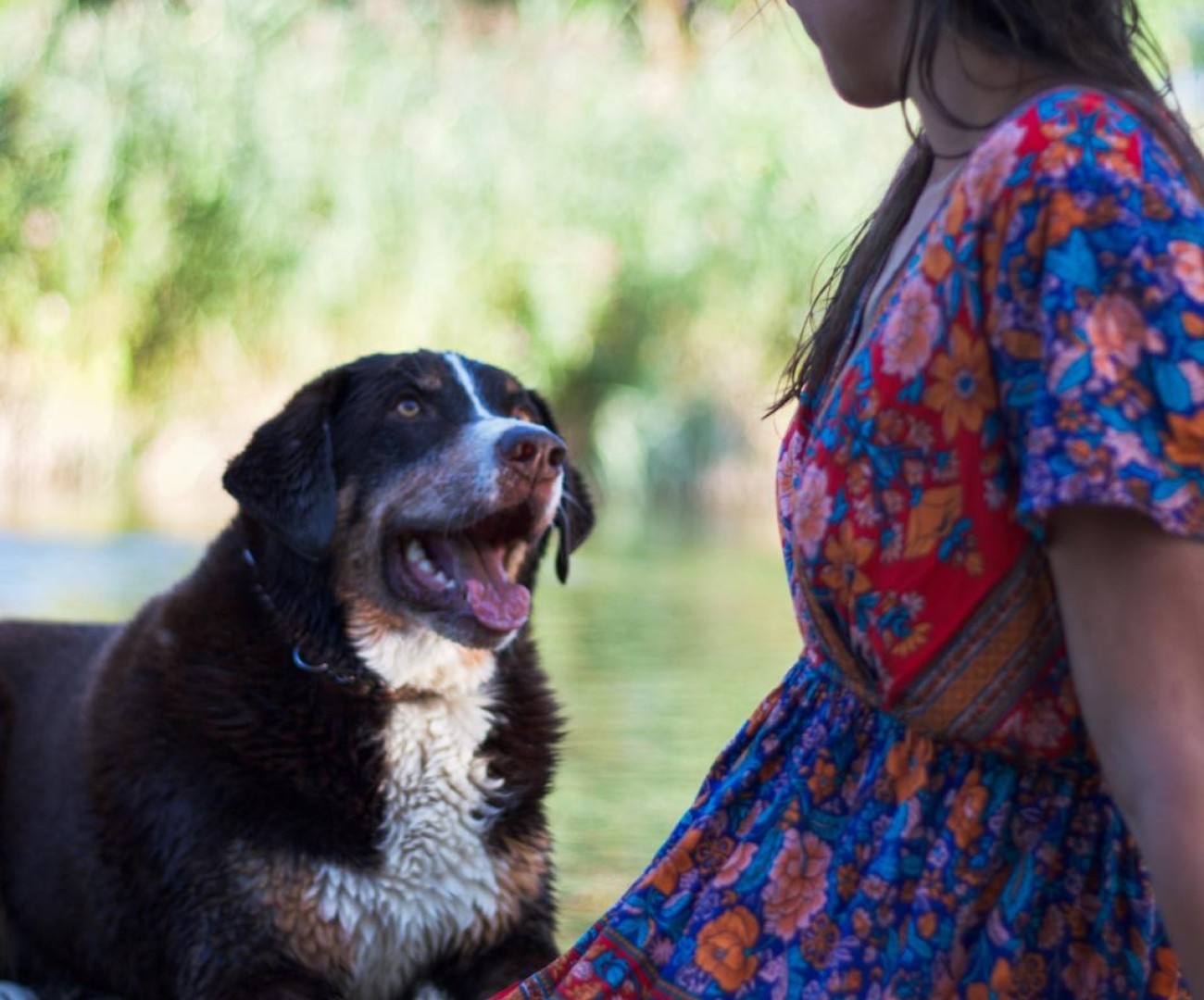Atelier "En Un Regard" - Communication avec son chien | Une Patte Après l'Autre